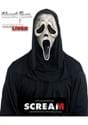 Ghost Face Aged Mask