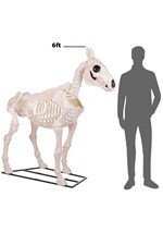 6 ft. Horse Skeleton Decoration Alt 7