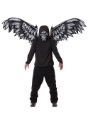 Fallen Angel Mask and Wings	