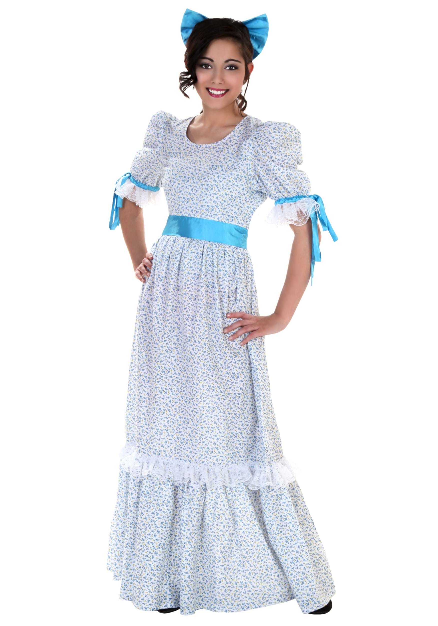 Wendy Fancy Dress Costume , Victorian Era Dress , Exclusive , Made By Us