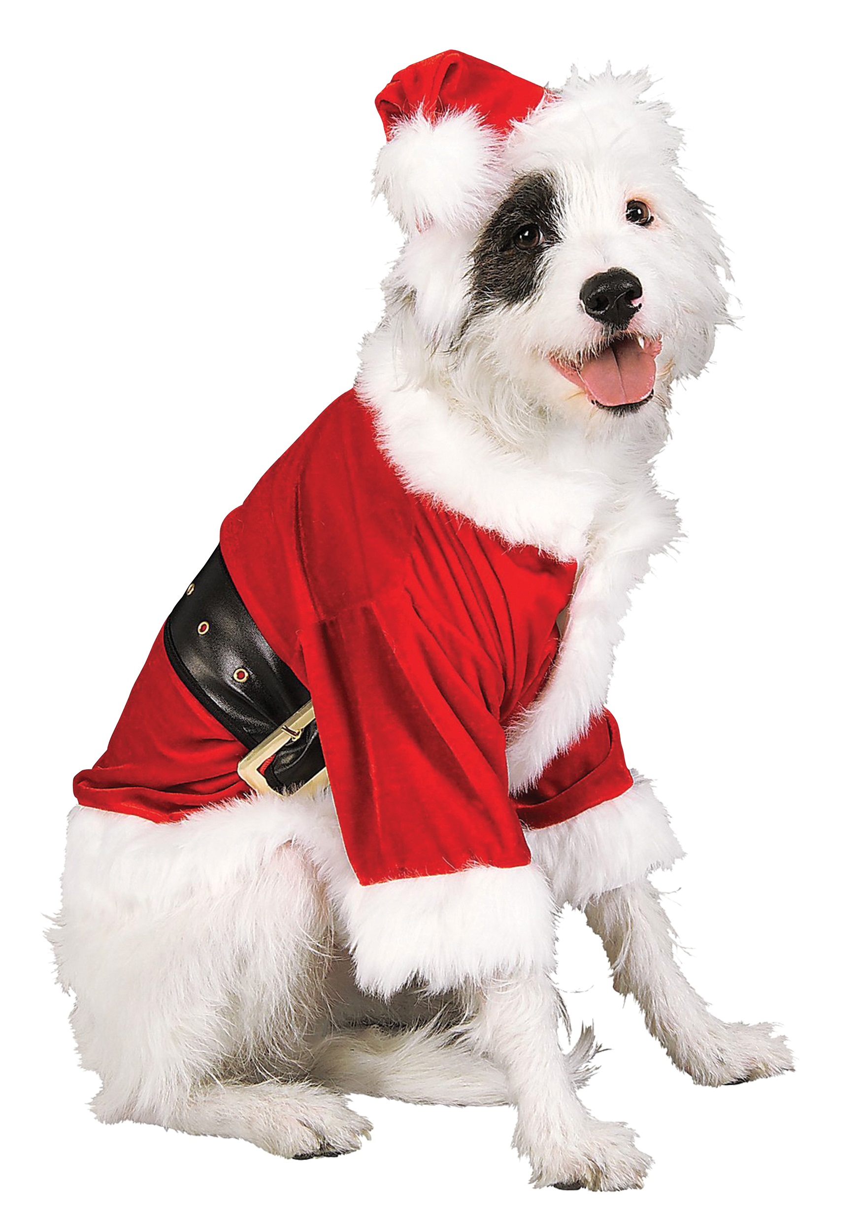 BINGPET Santa Dog Christmas Costume and Hat Set for Small Dogs 