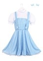Adult Dorothy Costume Alt 8