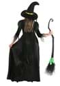 Adult Storybook Witch Costume