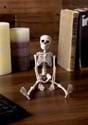 12 Inch Plastic Realistic Skeleton