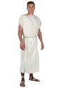 Men's Halloween Toga Costume