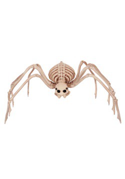 Skeleton Spider