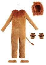 Plus Size Deluxe Lion Costume Alt 2