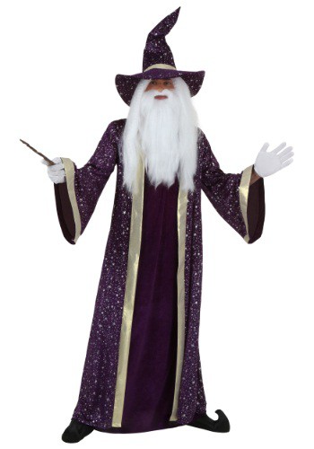 Adult Purple Wizard Costume