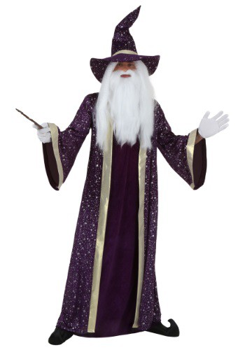 Plus Size Wizard Costume