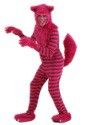 Plus Size Deluxe Cheshire Cat Costume
