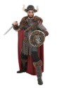 Adult Viking Warrior Costume