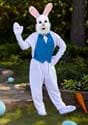 Mascot Happy Easter Bunny Costume