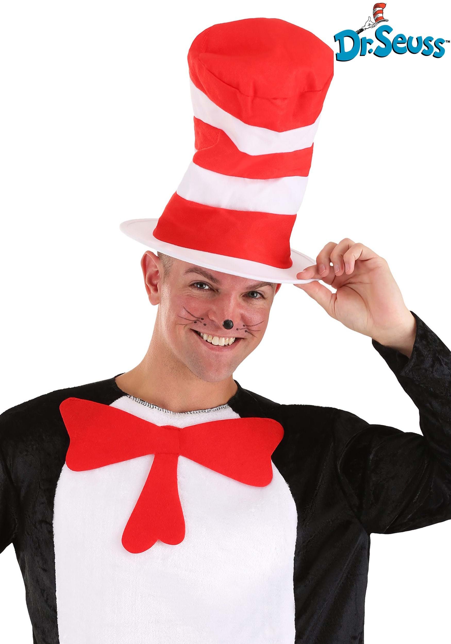 cat in the hat hat