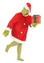 Plus Size Grinch Costume