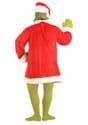 Plus Size Grinch Costume