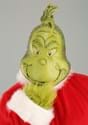 Plus Size Grinch Costume