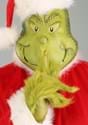 Plus Size Grinch Costume