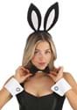 Sexy Bunny Costume Kit_Update
