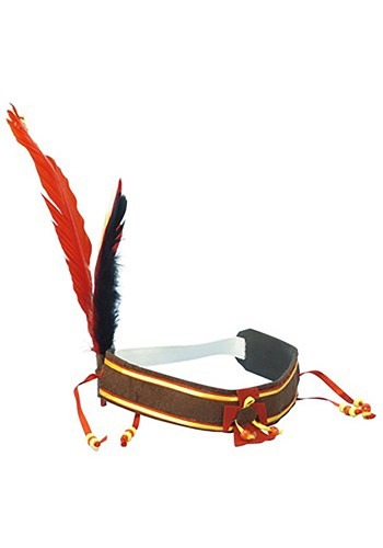 Indian Feather Harvest Headband