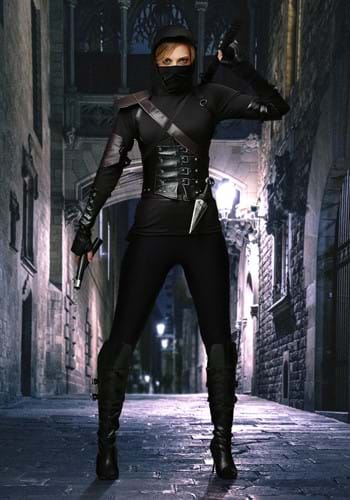 Alluring Women's Assassin Costume