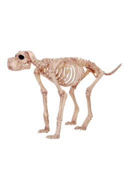 Bruiser Bonez the Skeleton Dog