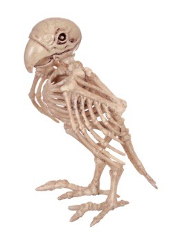 Skeleton Parrot
