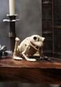 Skeleton Frog Update