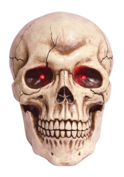 Giant Skull