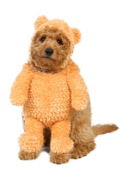 Teddy Bear Dog Costume