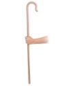 Walking Cane Accessory