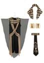 All Powerful Pharaoh Men's Costume