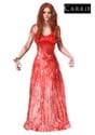 Women's Carrie Costume-update1