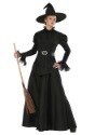 Classic Black Witch Plus Size Womens Costume