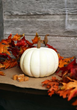 Cream Pumpkin 6''x9''