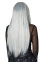 Gothic Grey Womens Wig