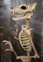 64'' Pose-N-Stay Werewolf Skeleton