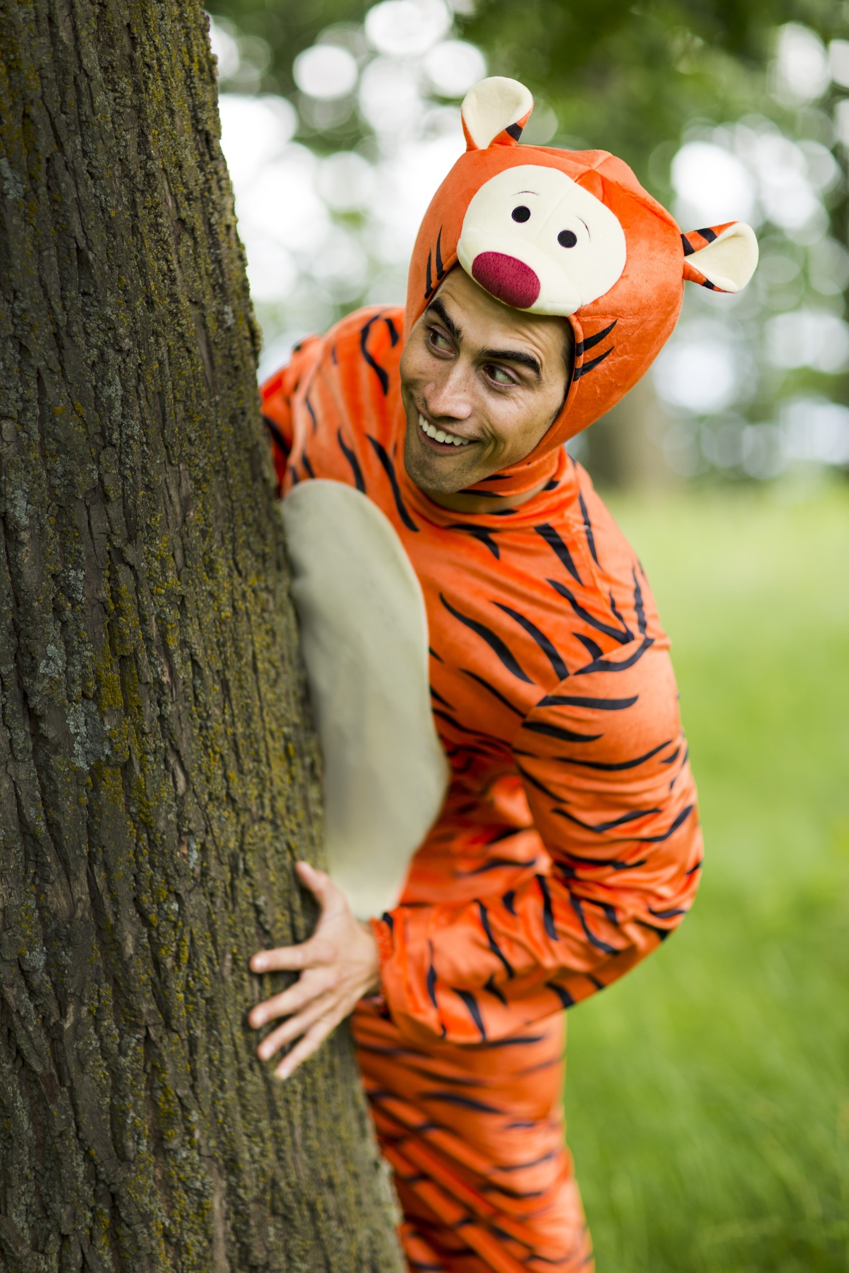 Winnie The Pooh Adult Tigger Deluxe Fancy Dress Costume