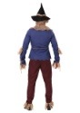 Adult Plus Size Patchwork Scarecrow Costumeback
