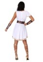 Women's Olympian Warrior Costume2