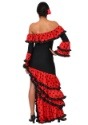 Women's Spanish Senorita Costume2