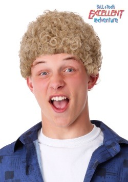 Bill & Ted's Excellent Adventure Adult Bill Wig