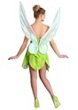 Adult's Fairytale Tink Costume Back