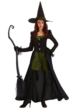 Women's Fairytale Witch Costume