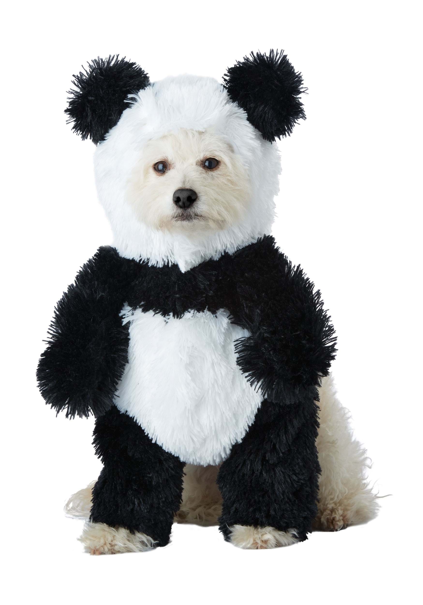 dog panda suit