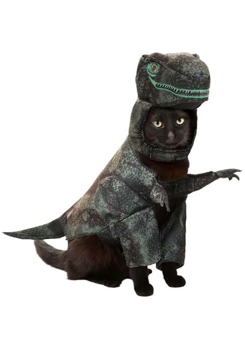 Pet Catasaurus Rex Cat Costume
