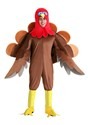 Adults Plus Size Wild Turkey Costume