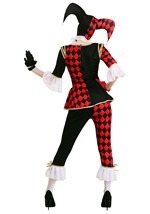 Plus Size Women's Regal Harlequin Costume Alt 1