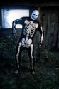 Skeleton Costume