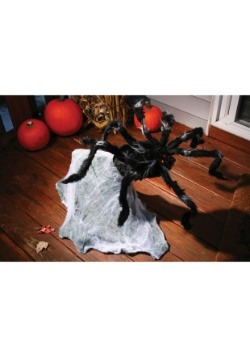 36'' Giant Jumping Spider