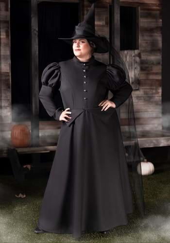 Women's Plus Size Witch Costume